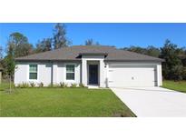 Charming single-story home with a well-manicured lawn, neutral paint, and a two-car garage at 368 Amberjack Ct, Poinciana, FL 34759
