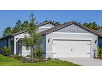 Charming single-Gathering home showcases a well-manicured lawn and an attached two-car garage, providing comfortable living at 9084 Wildlight Trl, Wildwood, FL 34785