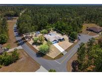 Lovely property featuring a screened-in pool, surrounded by lush greenery and mature trees at 3690 Sw 175Th St, Ocala, FL 34473