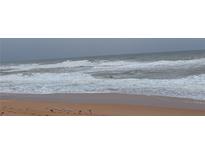 Scenic view of a sandy beach with waves crashing on the shore and seagulls in the foreground at 3100 Ocean Shore Blvd # 101, Ormond Beach, FL 32176