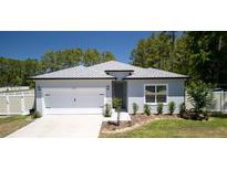 Charming single-story home featuring a two-car garage, fresh landscaping, and a cozy, welcoming entrance at 8007 Sw 135Th Loop, Ocala, FL 34473
