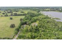 Aerial view of a sprawling property featuring lush greenery, mature trees, a home, and a serene lake in the background at 1611 County Road 753S, Webster, FL 33597