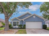 Charming blue single-story home with a well-manicured lawn and a two-car garage at 4217 Kingbird Ct, Orlando, FL 32826