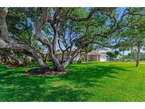 Expansive green front yard with a large, mature tree providing shade to the single story home at 64 Alberta Ave, Ponce Inlet, FL 32127