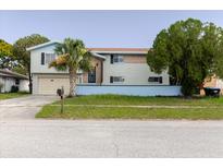 Two-story home showcasing neutral siding, blue trim, brick accent, and a palm tree in the front yard at 7072 Scruboak Ln, Orlando, FL 32818