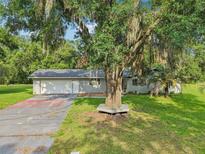 Charming single-story home with large tree and spacious front yard at 5525 Tillman Rd, Lakeland, FL 33810