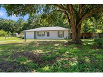 Charming single-story home with a well-maintained lawn and mature tree providing ample shade at 13449 Ashley Ct, Grand Island, FL 32735