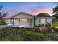 Charming home featuring a well-lit front yard and classic architectural design at 8851 Sw 116Th Street Rd, Ocala, FL 34481