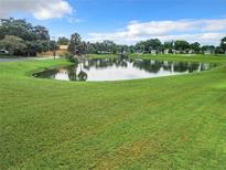 Beautiful pond surrounded by lush green grass and mature trees under a blue sky with white clouds at 824 Silver Oak Ave, The Villages, FL 32159