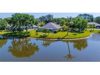 Scenic home exterior view with a well-maintained lawn and serene water reflection at 2758 Turnbull Cove Dr, New Smyrna Beach, FL 32168