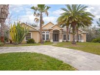 Charming single-story home features a beautifully landscaped front yard with mature palm trees and a stone-accented entrance at 43747 Choctaw St, Deland, FL 32720