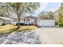 Charming single-story home with a well-manicured lawn, mature tree, and welcoming front entrance at 163 Chrysanthemum Dr, Ormond Beach, FL 32174