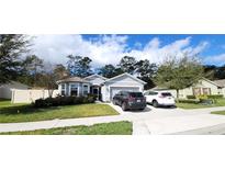 Charming single-story home featuring a well-manicured lawn and attached two-car garage at 313 Nowell Loop, Deland, FL 32724