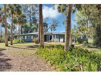 Charming single-story home with a lush lawn, surrounded by palm trees and other mature trees at 4282 Alice St, Edgewater, FL 32141
