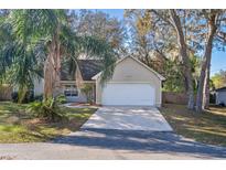 Charming single Gathering home featuring a well-manicured lawn and a two-car garage, located in a tranquil neighborhood at 1430 17Th St, Orange City, FL 32763