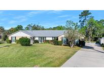 Charming single-story home with a well-manicured lawn, flowering bushes, and a long concrete driveway at 19 Twin River Dr, Ormond Beach, FL 32174