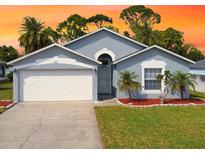 Charming single-story home featuring a manicured lawn, two-car garage, and tropical landscaping at 209 Oak Branch Drive, Edgewater, FL 32141
