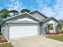 This beautiful home features a two car garage, well manicured lawn, and front entrance with vibrant landscaping at 209 Oak Branch Drive, Edgewater, FL 32141