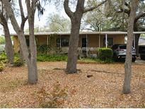 Charming single-story home with mature trees and landscaping, offering a serene and inviting curb appeal at 34416 Oak Ave, Leesburg, FL 34788