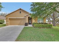 Charming single-story home with a well-manicured lawn, a two car garage, and attractive landscaping at 859 Oak Hollow Loop, Deland, FL 32724