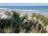 Breathtaking beach view framed by palm trees, showcasing the ocean and sandy shoreline at 935 S Atlantic Ave # 364, Daytona Beach, FL 32118