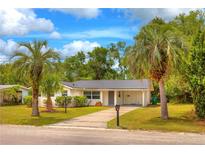 Charming single-story home with a lush green lawn, mature palm trees, and a long driveway at 508 W Hogle Ave, Deland, FL 32720