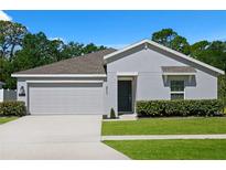 Charming single Gathering home with a well-maintained lawn, concrete driveway, and a two car garage at 2518 Hoptree Ln, Edgewater, FL 32141