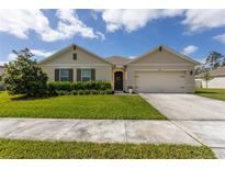 Charming single-story home with well-manicured lawn and attached two car garage at 258 Sandoval Dr, Ormond Beach, FL 32174