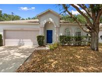 Charming single-Gathering home with a well-maintained lawn and mature tree shading the front at 15733 Green Point Ct, Clermont, FL 34714