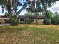 Single story house with stone detail, partially obscured by a tree and patchy grass at 2810 Kumquat Dr, Edgewater, FL 32141