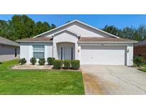 Charming single-story home with a well-manicured lawn and an attached two-car garage at 133 Brasswood Ct, Daytona Beach, FL 32117