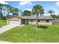 Charming single-story home featuring a lush green lawn, a palm tree, and an attached garage at 1191 Tracy Dr, Port Orange, FL 32129