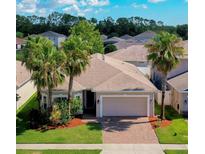 Inviting single-story home featuring a two-car garage, paver driveway, mature palm trees, and manicured landscaping at 1233 Girog Ave, Port Orange, FL 32129