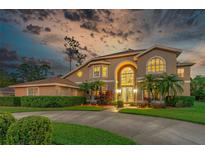 Stunning two-story home featuring a grand entrance, lush landscaping, and a circular driveway, all set against a dramatic evening sky at 18 Foxfords, Ormond Beach, FL 32174