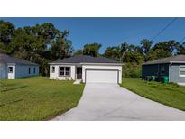 Charming single-story home with a well-manicured lawn and an attached two-car garage at 248 S Virginia Ave, Deland, FL 32724