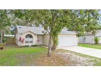 Charming single-story home with a well-manicured lawn, mature landscaping and a two-car garage at 910 Sheeler Oaks Dr, Apopka, FL 32703
