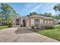 Inviting single-story home featuring a well-maintained lawn and an attached two-car garage at 1125 Stillwater Dr, Deland, FL 32720