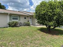 Charming single-story home with a well-maintained lawn and flowering shrubs in a sunny neighborhood at 233 Elmwood Ave # 290, Deland, FL 32724