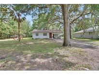 Charming single-story home with a well-maintained front yard and mature trees at 352 Harlan Ave, Lake Helen, FL 32744