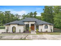 Stunning single-story stucco home featuring a symmetrical design, a concrete driveway, and manicured landscaping at 940 Glenwood Rd, Deland, FL 32720