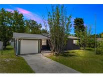 Charming one-story home with a well-maintained lawn, mature bamboo, and attached garage with a private fenced entrance at 18 S Shell Rd, Debary, FL 32713