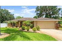 Charming single-story home with a well-manicured lawn and tropical landscaping creating great curb appeal at 3132 Mango Tree Dr, Edgewater, FL 32141