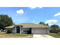 Charming single-story home with a well-maintained lawn and a two-car garage at 3155 Mapleshade St, Deltona, FL 32738