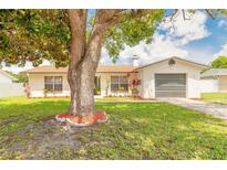 Charming single-story home featuring a well-manicured lawn and attached garage at 4 Brandy Hills Dr, Port Orange, FL 32129