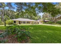 Sprawling front yard of a single story home with large trees and mature landscaping at 505 Black Ironwood Dr, Deland, FL 32724