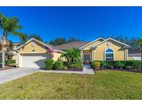 Charming single-story home with a well-manicured lawn and an attached two-car garage at 727 Grape Ivy Ln, New Smyrna Beach, FL 32168