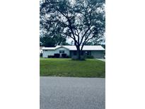 Charming single-story home features a lush green lawn and mature shade tree, providing curb appeal at 2676 Palm Terrace St, Deland, FL 32720
