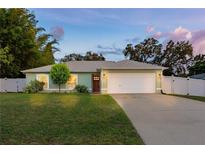 Charming one-story home featuring a well-manicured lawn, mature trees, and a spacious two-car garage at 3013 Hunkin Cir, Deltona, FL 32738
