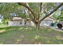 Charming single-story home with a well-maintained lawn and mature tree in the front yard at 396 Uranus Trl, Osteen, FL 32764