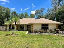 Charming single-story home with a well-manicured lawn, mature trees, and classic architecture at 955 Thelma St, Orange City, FL 32763
